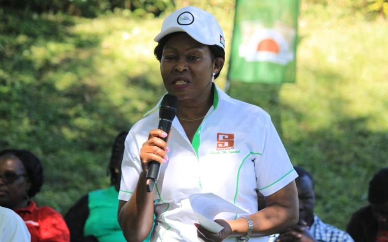 Thirteen Thousand Seedlings Commemorate World Environment Day at SonySugar Company 2025 Ltd